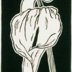 Three lilies