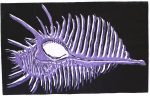 Peacock Shell Print