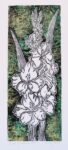 Glad Gladiolus Prints