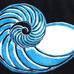 Nautilus Prints